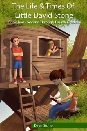 Book cover of The Life & Times of Little David Stone: Book Two - Second through Fourth Grades