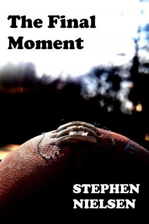 Book cover of The Final Moment