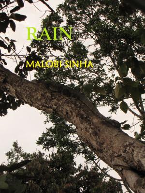 Cover of the book Rain by Kia Lynette