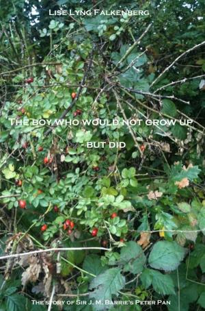 Cover of The Boy Who Would Not Grow Up: But Did