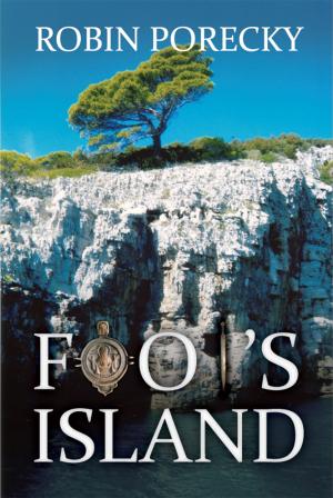 bigCover of the book Fool's Island by 