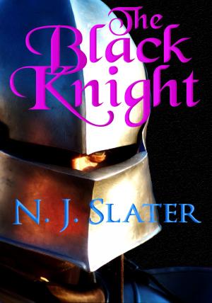 Cover of the book The Black Knight by Sean Patrick O'Blarney