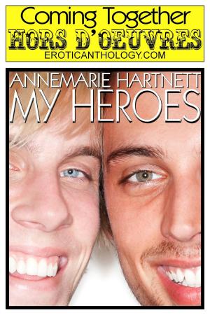 Cover of the book My Heroes by Melisse Aires
