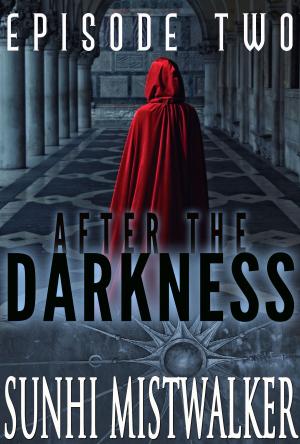 Cover of the book After The Darkness: Episode Two by Rich Feitelberg