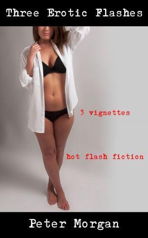 Cover of the book 3 Erotic Flashes by B.C. Pope