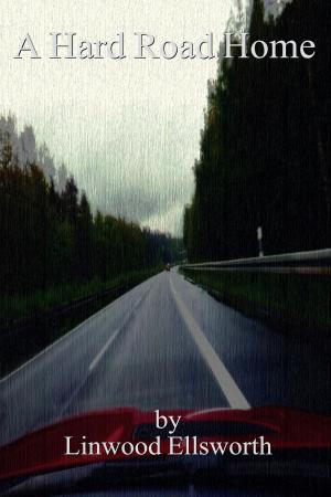 Book cover of A Hard Road Home