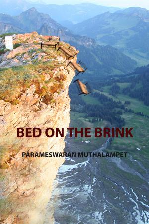 Cover of the book Bed on the Brink by Katia C.