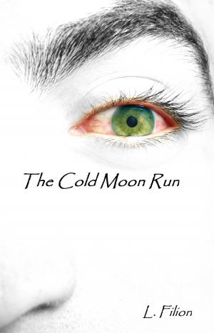 Cover of the book The Cold Moon Run by Jana Oliver