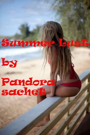 Book cover of Summer Lust