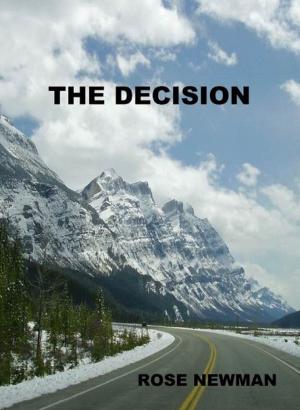 Cover of the book The Decision by Ellyn Spragins