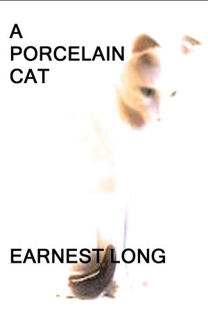 Book cover of A Porcelain Cat