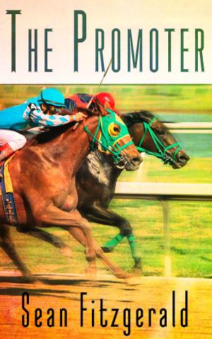 Cover of the book The Promoter by Vi Grim