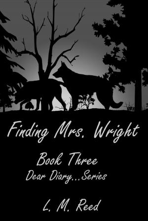 Cover of the book Finding Mrs. Wright by Julie Gouraud