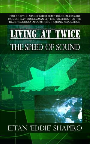 bigCover of the book Living at Twice the Speed of Sound by 