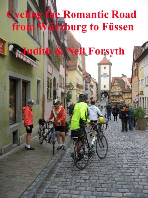 Book cover of Cycling the Romantic Road from Würzburg to Füssen