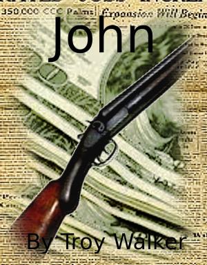 Cover of the book John by Jana Oliver