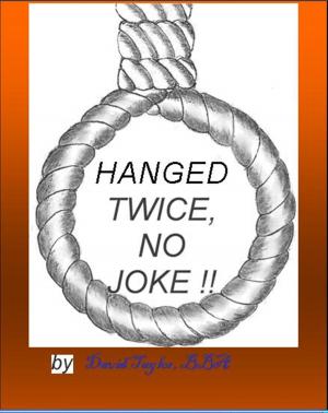 Cover of the book Hanged Twice No Joke by Taylor David