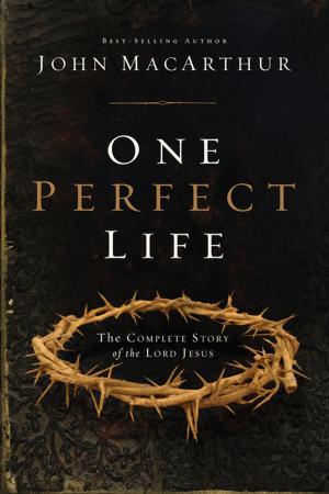 Cover of the book One Perfect Life by O. S. Hawkins