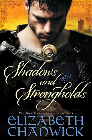 Cover of the book Shadows and Strongholds by Rosanne Bittner
