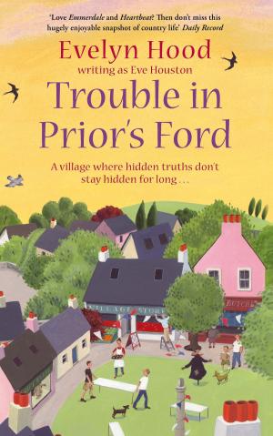 Book cover of Trouble In Prior's Ford