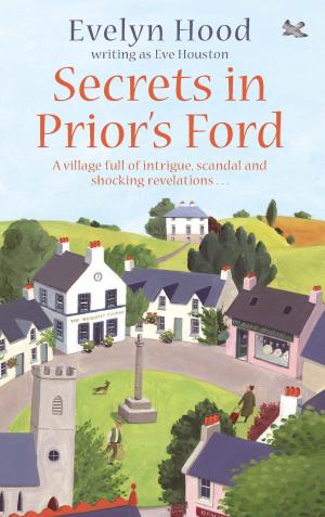 Cover of the book Secrets In Prior's Ford by Terri Nixon