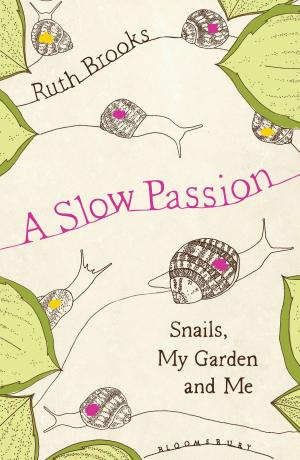 Cover of the book A Slow Passion by Mr. Malachy Doyle