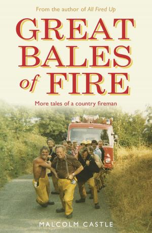 Cover of the book Great Bales of Fire by Robert Rankin
