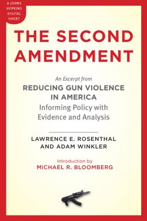Cover of the book The Second Amendment by Donald B. Kraybill, Karen M. Johnson-Weiner, Steven M. Nolt