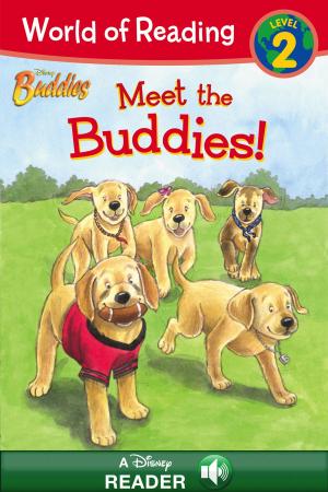Cover of the book World of Reading Disney Buddies: Meet the Buddies by Melissa de la Cruz