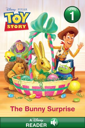 Cover of the book Toy Story: The Bunny Surprise by C. B. Wright