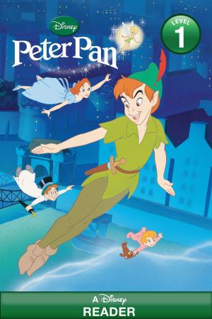 Cover of the book Peter Pan by Eoin Colfer