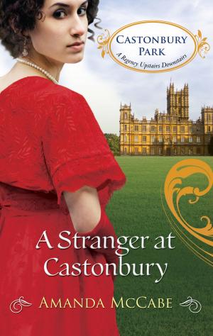 Cover of the book A Stranger at Castonbury by Lucie Castel