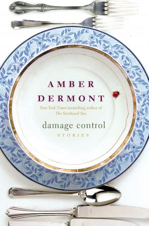 Cover of the book Damage Control by Tracy Brown