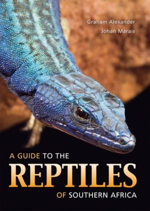 Cover of the book A Guide to the Reptiles of Southern Africa by Andrew Brown