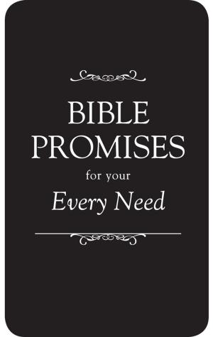 Cover of the book Bible Promises for Your Every Need (eBook) by Nina Smit