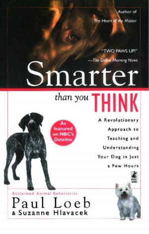 Cover of the book Smarter Than You Think by Eric Van Lustbader