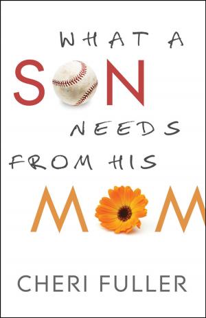 Cover of the book What a Son Needs From His Mom by David A. Livermore