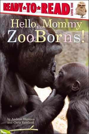 Cover of the book Hello, Mommy ZooBorns! by Tina Gallo