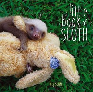 Cover of the book A Little Book of Sloth by Ellen Hopkins