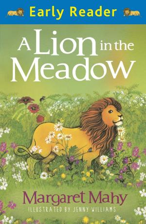 Cover of the book A Lion In The Meadow by Anne Digby, Anne Digby