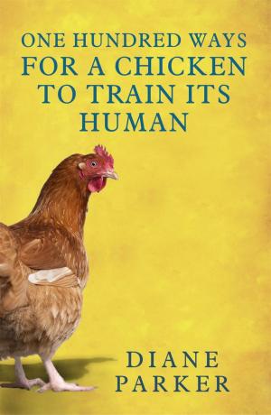 Cover of the book 100 Ways for a Chicken to Train its Human by Sally Kirkman