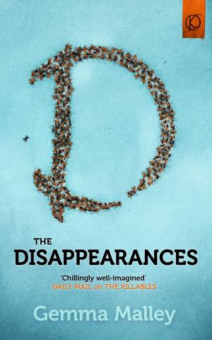 bigCover of the book The Disappearances by 
