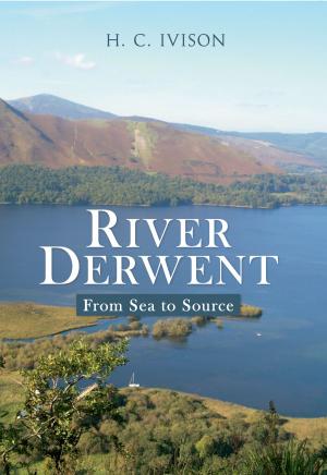 Cover of the book River Derwent by Andrew Mead