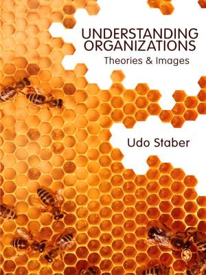 Cover of the book Understanding Organizations by Jodi Peine