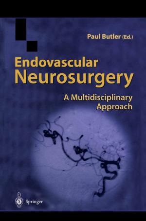 Cover of the book Endovascular Neurosurgery by Kjeld Schmidt