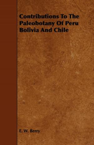 Cover of the book Contributions To The Paleobotany Of Peru Bolivia And Chile by Robert E. Howard