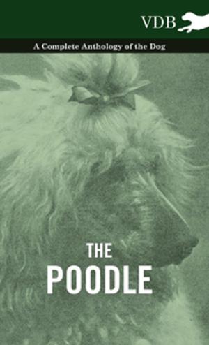 Cover of the book The Poodle - A Complete Anthology of the Dog by Edward Caird