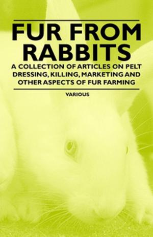 Cover of the book Fur from Rabbits - A Collection of Articles on Pelt Dressing, Killing, Marketing and Other Aspects of Fur Farming by John Scott Montagu