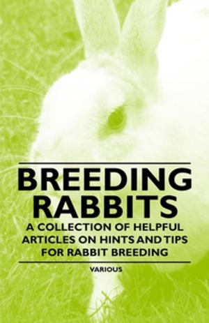 Book cover of Breeding Rabbits - A Collection of Helpful Articles on Hints and Tips for Rabbit Breeding