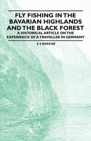 bigCover of the book Fly Fishing in the Bavarian Highlands and the Black Forest - An Historical Article on the Experience of a Traveller in Germany by 